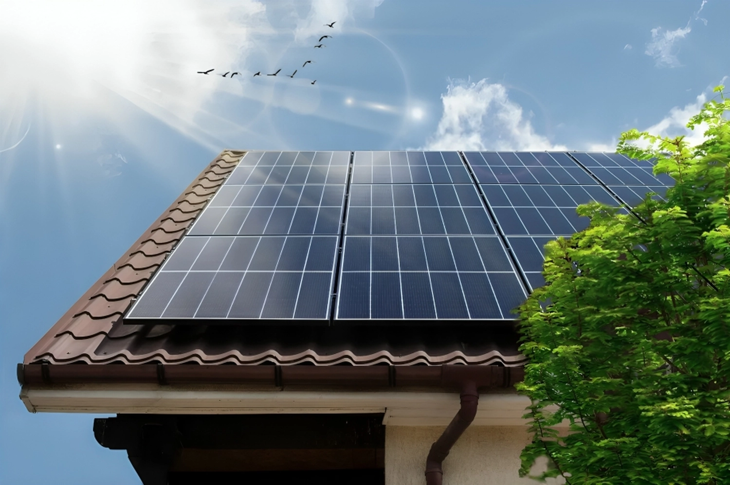 Sanierungswelt - Immobiliensanierung - Photovoltaik